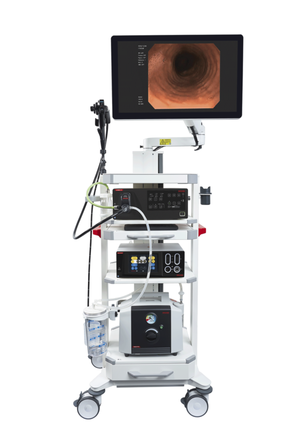 Flexible Endoscope System