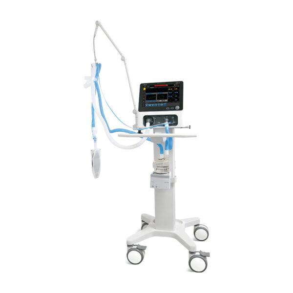 LYRA x1 - Image 4