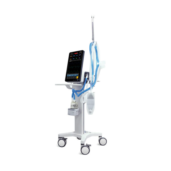 LYRA x2 - Image 3
